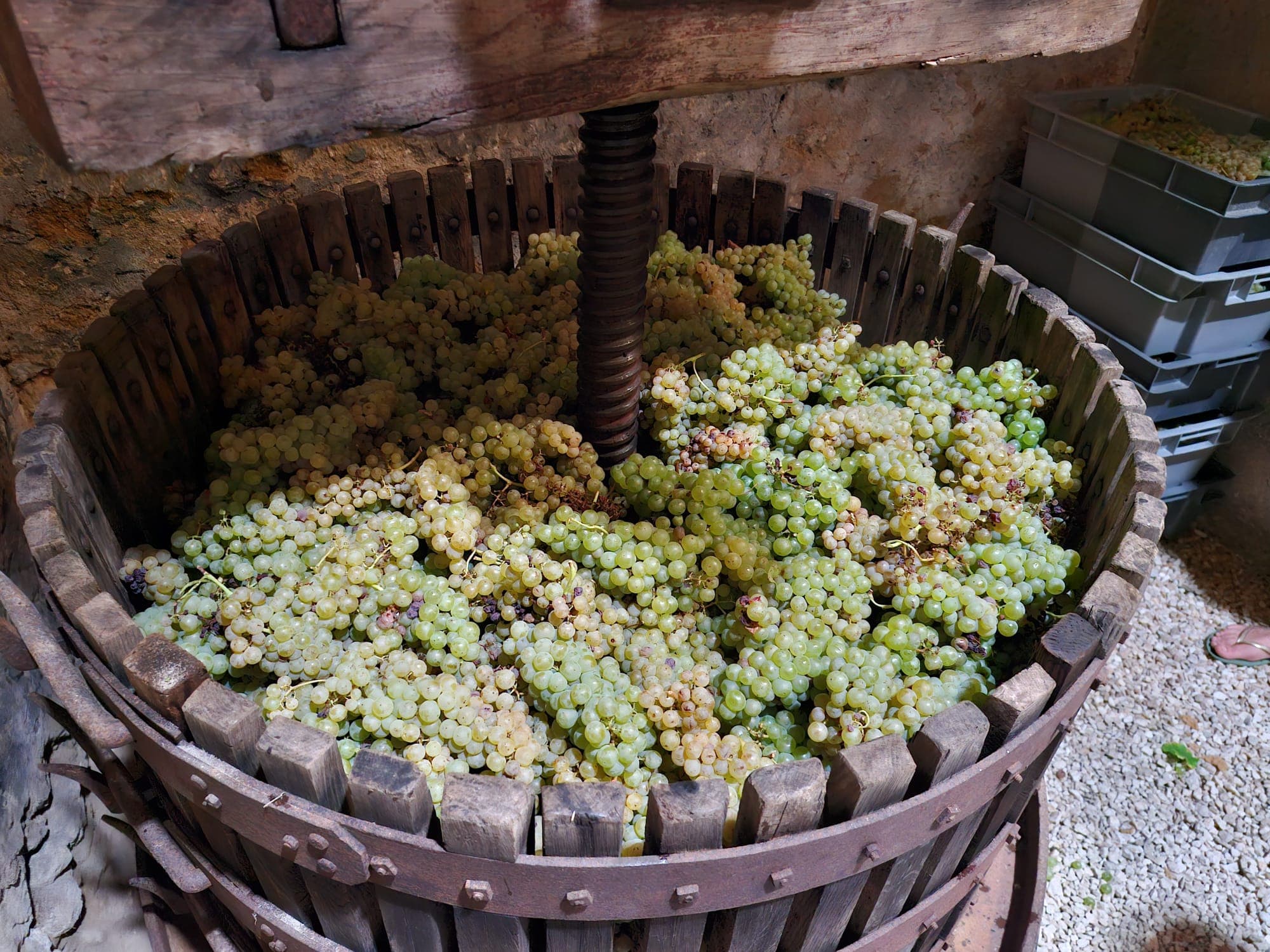 Des vins classiques… ou pas !